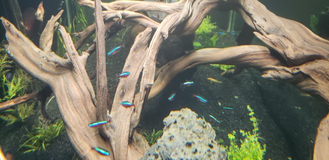 20190521_093826.jpg