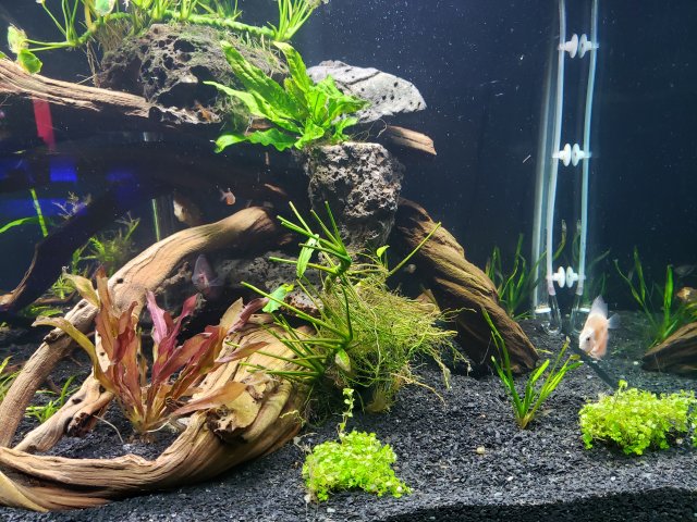20190527_194953.jpg