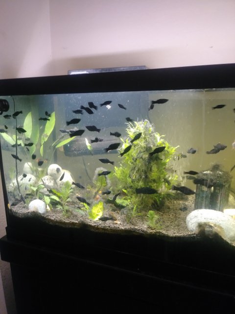 20190530_195849.jpg