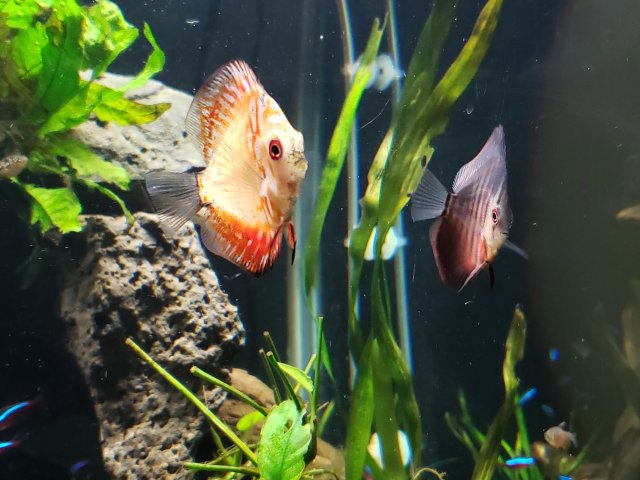 20190601_122139.jpg