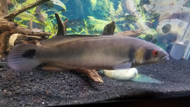 20190604_152028_001.jpg