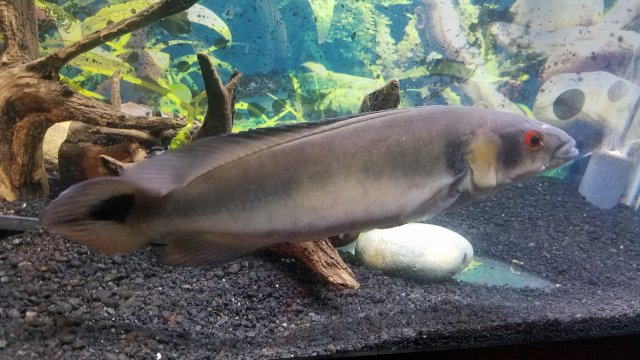 20190604_152027.jpg