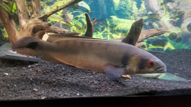 20190604_152030_011.jpg