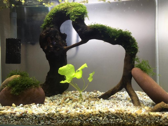 WhatsApp Image 2019-07-10 at 9.36.55 AM(1).jpeg