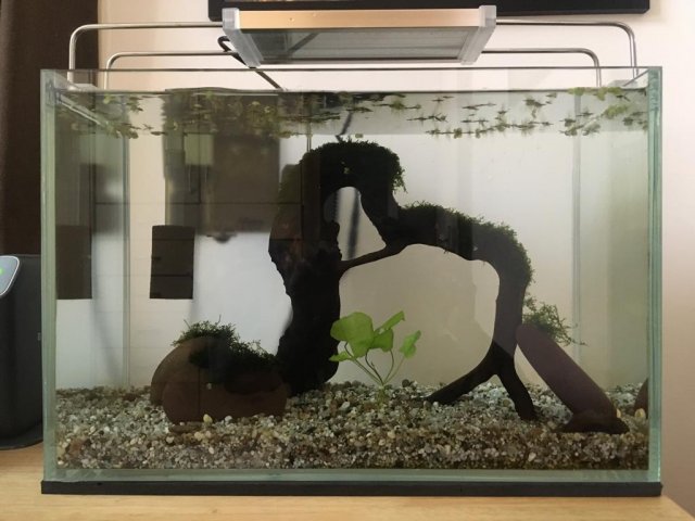 WhatsApp Image 2019-07-10 at 9.36.55 AM.jpeg