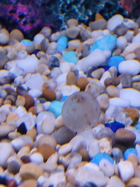 20190730_131951.jpg