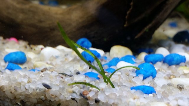 20190920_124743.jpg