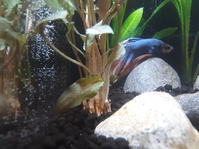 20190927_213852.jpg