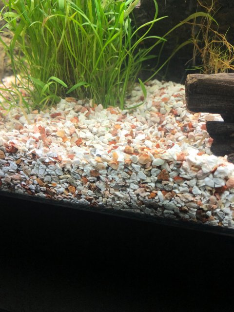 Substrate.jpg