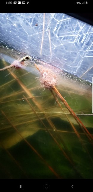 Screenshot_20191029-015544_Photos.jpg Screenshot_20191029-015544_Photos.jpg