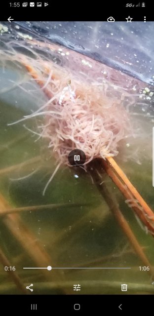 Screenshot_20191029-015558_Photos.jpg Screenshot_20191029-015558_Photos.jpg
