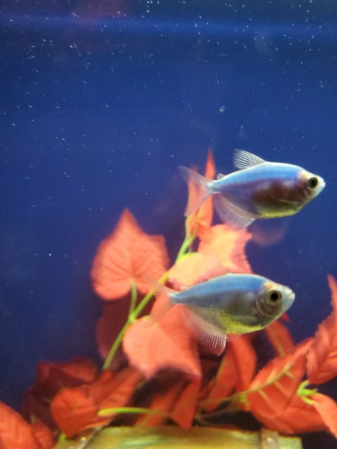 20191103_173338.jpg