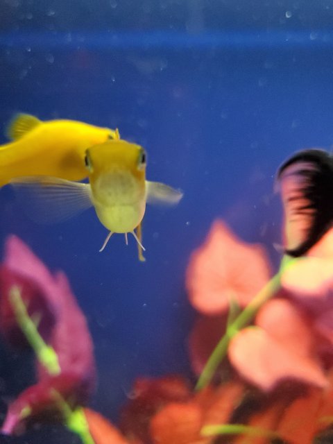 20191103_173249.jpg