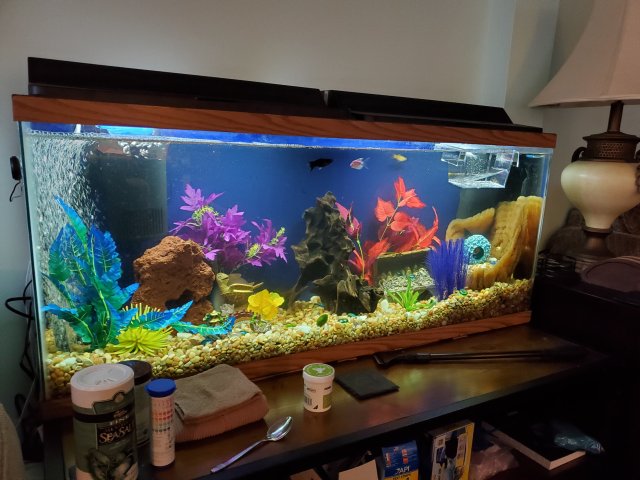 20191025_120455.jpg 20191025_120455.jpg