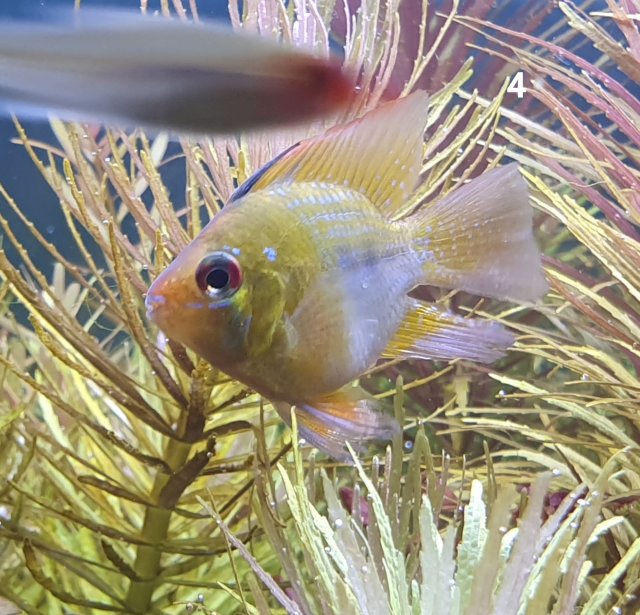 20191110_004819.jpg