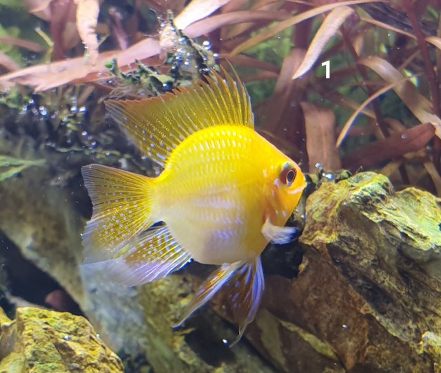 20191110_004451.jpg