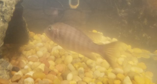 20191115_092916.jpg 20191115_092916.jpg