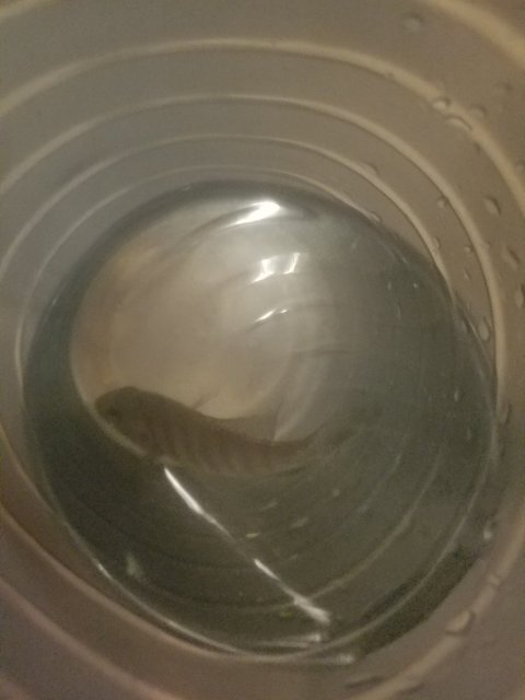 20191116_221030.jpg