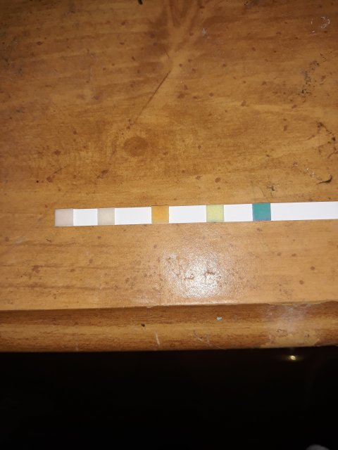 20200104_171132.jpg