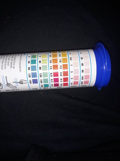 20200105_020135.jpg