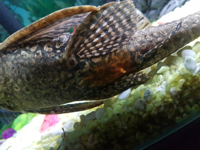 20200116_2216502.jpg