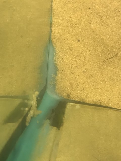 1E21E8A4-710E-4BF5-97AD-220616D695B3.jpeg 1E21E8A4-710E-4BF5-97AD-220616D695B3.jpeg