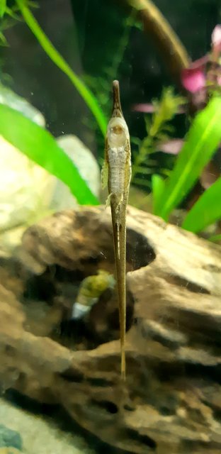 20191207_081431.jpg