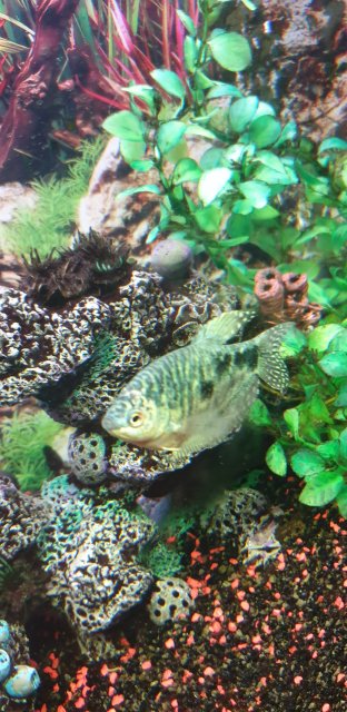 20200307_140124.jpg 20200307_140124.jpg