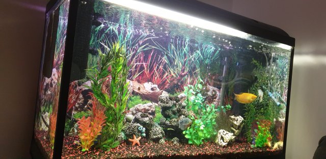 15835904157917533864010307903039.jpg 15835904157917533864010307903039.jpg