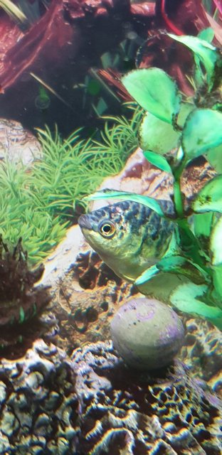 20200307_140149.jpg 20200307_140149.jpg