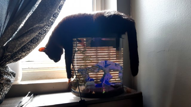 20200325_120417.jpg