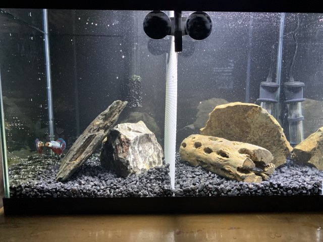 5FD87AEF-FC71-49BB-8FC6-DCFAA6F0943E.jpeg