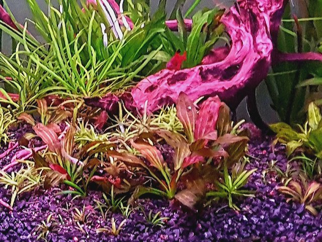 20200304_122321.jpg