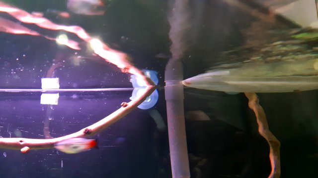 20200401_192326.jpg