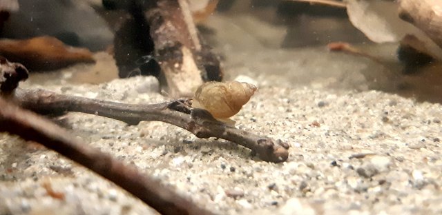 20191015_224951.jpg