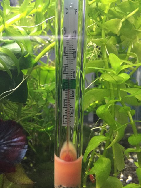 D5605CC4-A94E-4114-BBAF-1812FDE45D2C.jpeg D5605CC4-A94E-4114-BBAF-1812FDE45D2C.jpeg