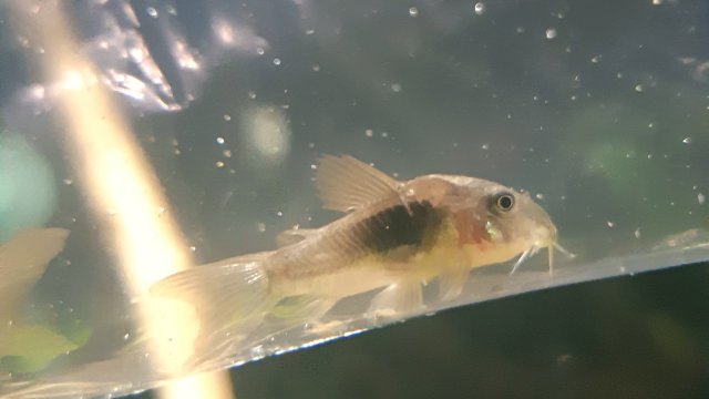 20191213_165620.jpg 20191213_165620.jpg