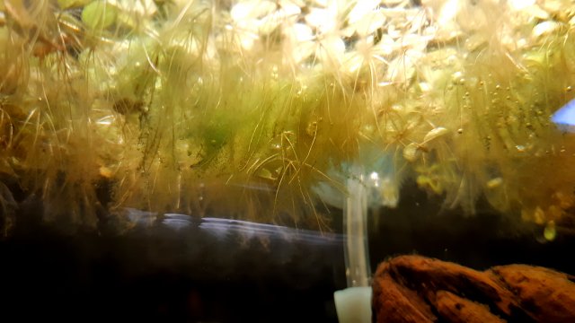 20200419_191645.jpg