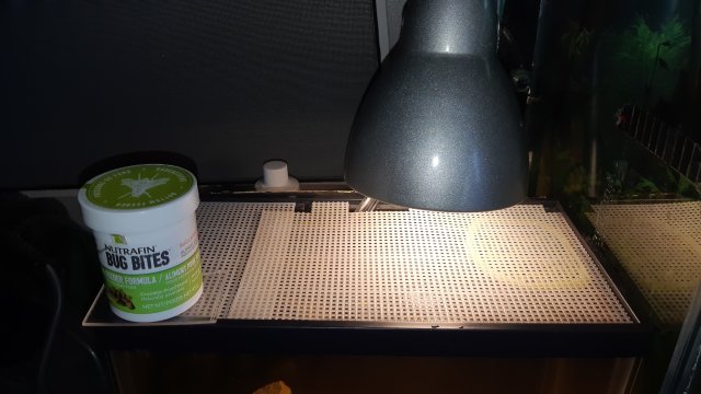 20200420_110224.jpg
