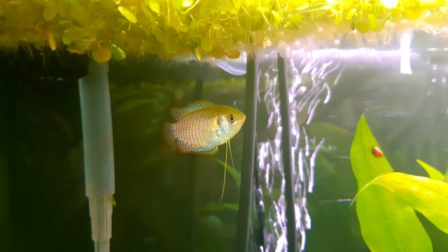 20200423_192248.jpg