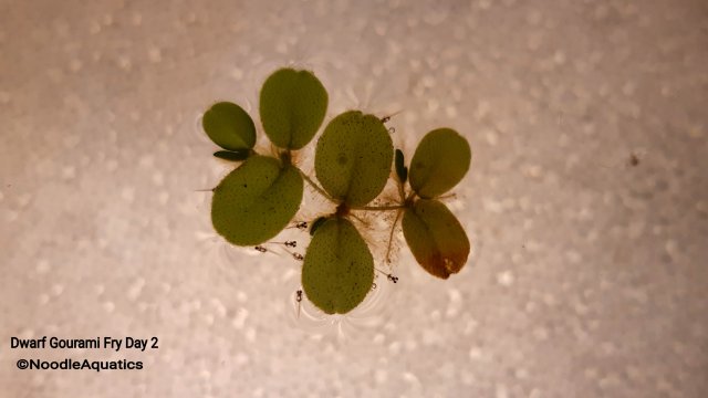20200425_154500.jpg