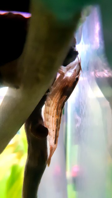 20200427_172835.jpg