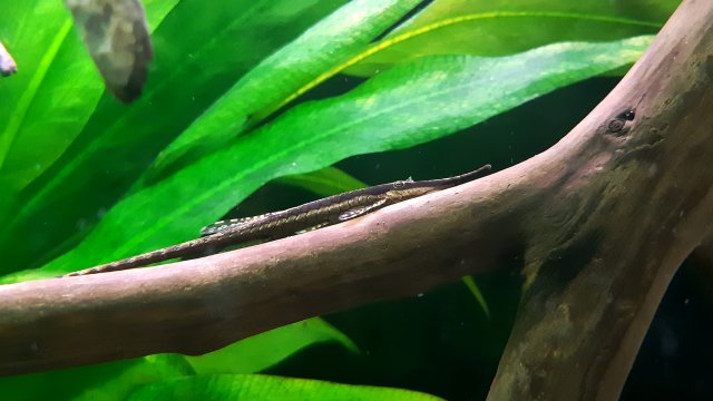 20200430_215338.jpg