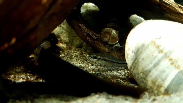 20200430_225741.jpg