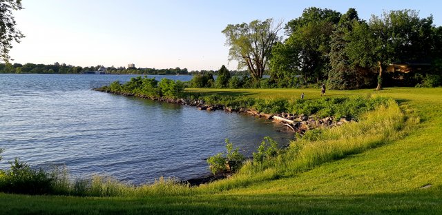 20200606_201337.jpg