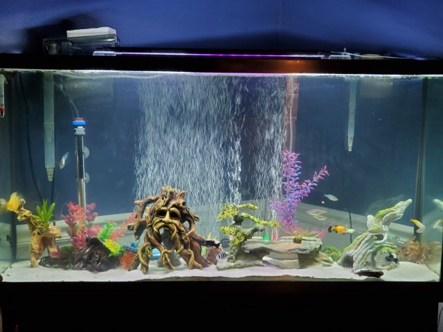 20200613_215044.jpg 20200613_215044.jpg