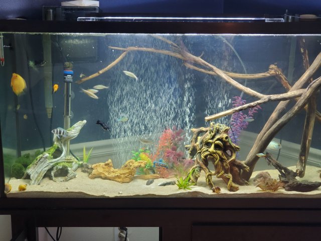 20200616_113444.jpg 20200616_113444.jpg