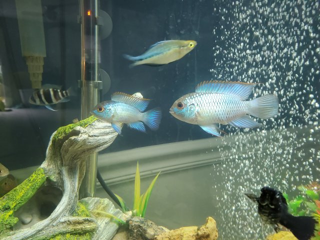 20200616_113211.jpg 20200616_113211.jpg