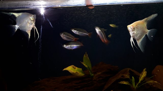 20200704_213752.jpg