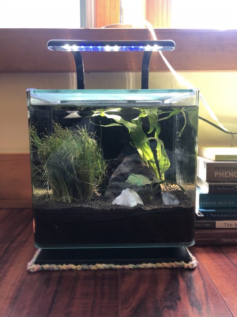 tank 1.jpg tank 1.jpg